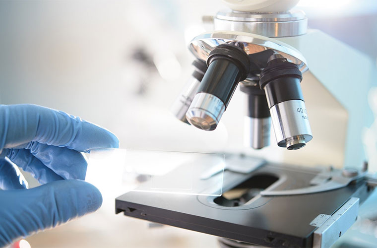 How Guide Intelligent Manufacturing's Thermal Imagers Are Revolutionizing High-End Scientific Research?