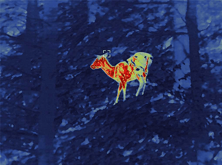 1989-189-179.png