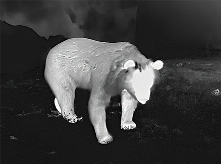 3240-575.png