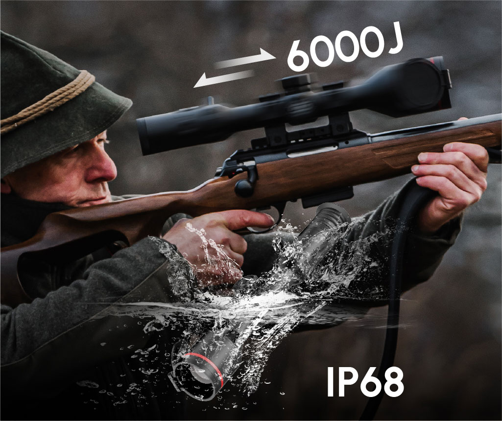 50-241.jpg