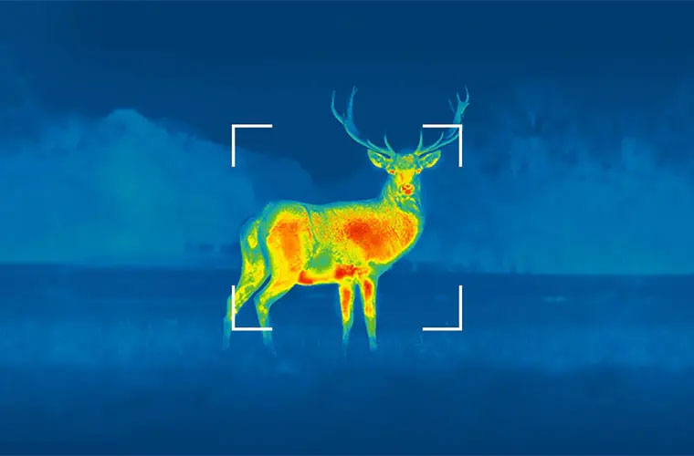 Guide Intelligent Manufacturing: Your Ultimate Guide to Custom Thermal Imaging Night Vision​